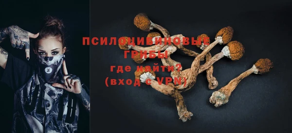 метадон Лабытнанги
