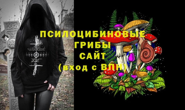 apvp Кукмор