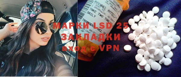 apvp Кукмор
