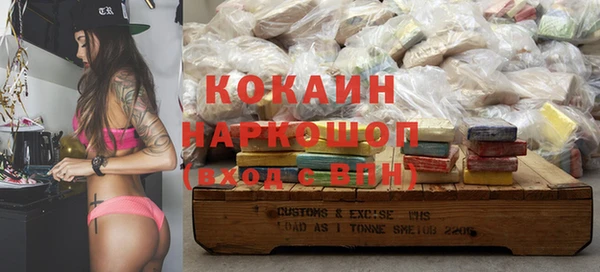 apvp Кукмор